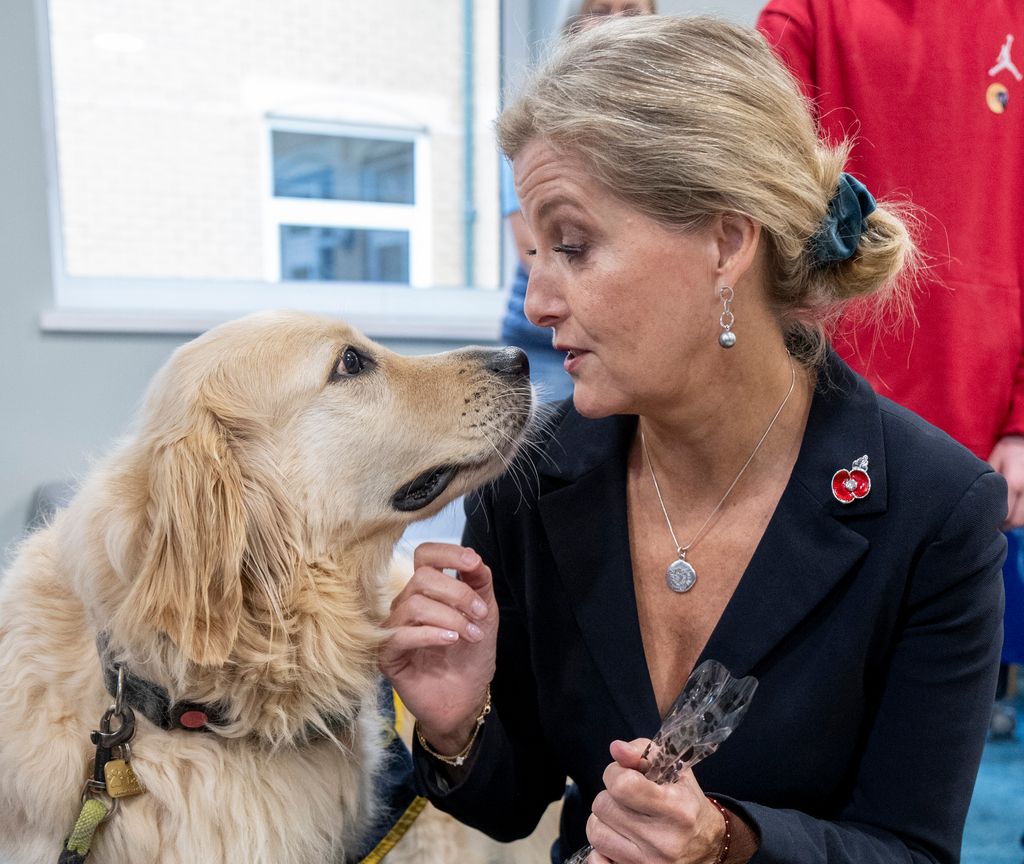 Sophie, Duchess of Edinburgh Patron, meets "Storm" as she attends the Buddy Dogs Family Event at the Guide Dogs UK centre on October 31, 2024 in Reading, England. 