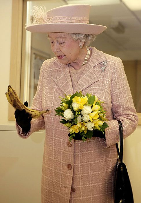 queen holding banana