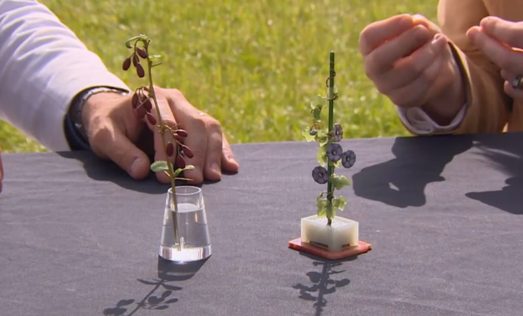 Two Fabergé Flowers on a table