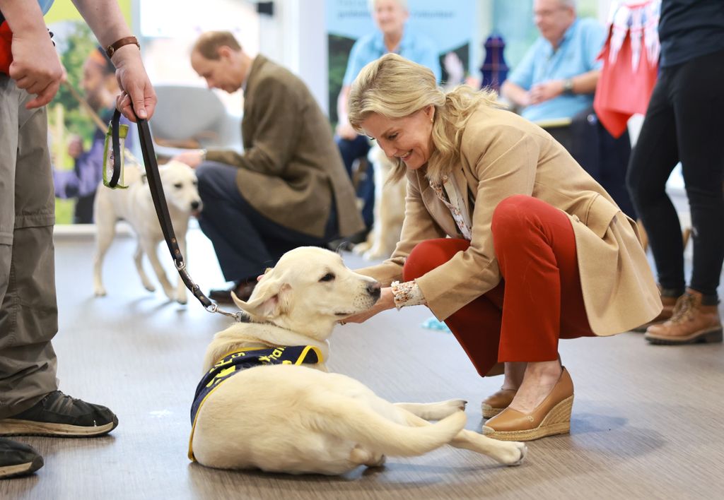 Duchess Sophie became patron of Guide Dogs in July 2021