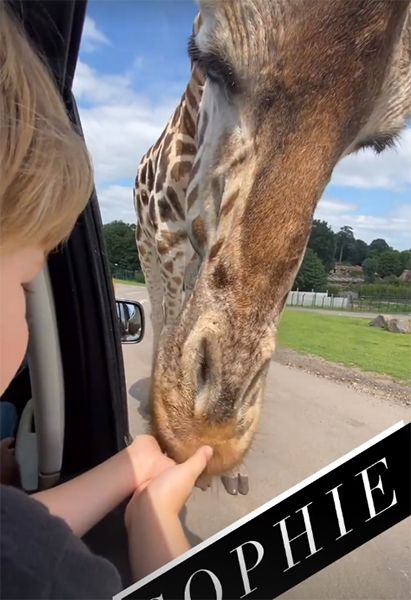 cat deeley son feeding giraffe