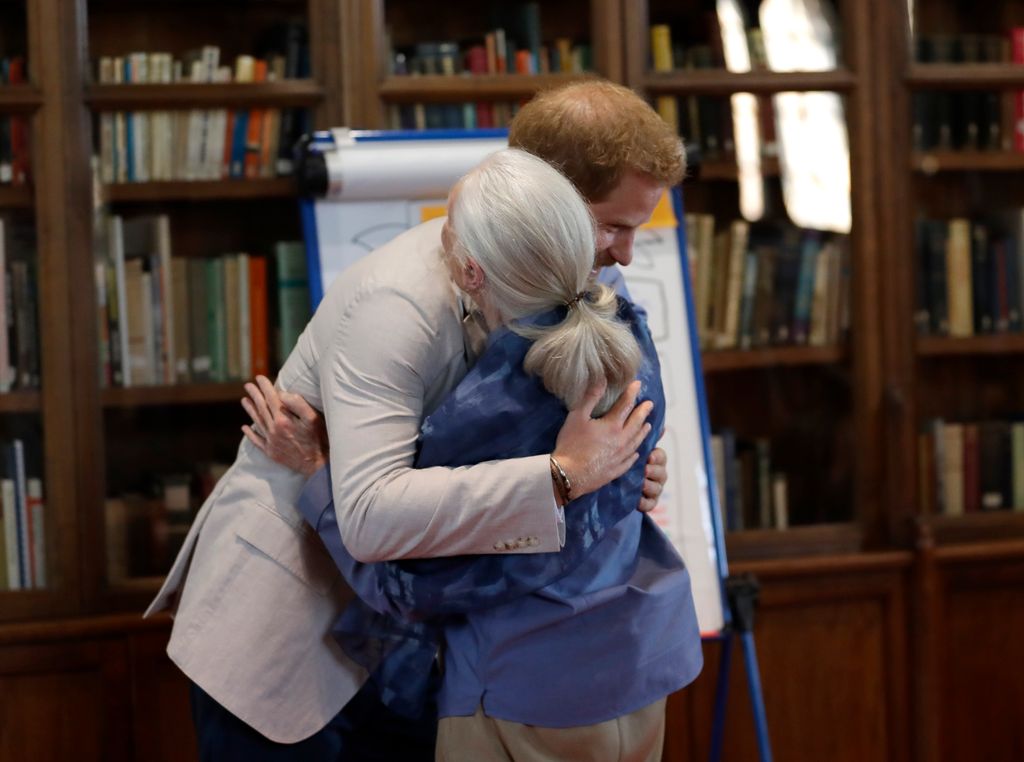 Prince Harry hugs Jane Goodall