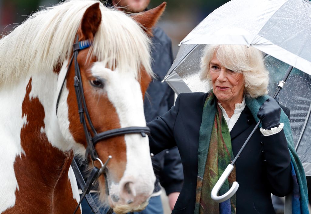 LONDON, UNITED KINGDOM - OCTOBER 13: (EMBARGOED FOR PUBLICATION IN UK NEWSPAPERS UNTIL Camilla, Duchess of Cornwall meets one of the riding school horses as she visits the Ebony Horse Club, Brixton on October 13, 2020 in London, England.