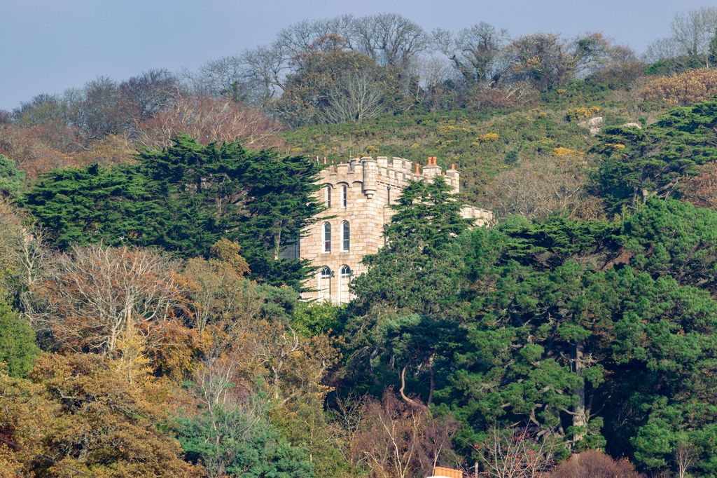 castle peeping through trees 