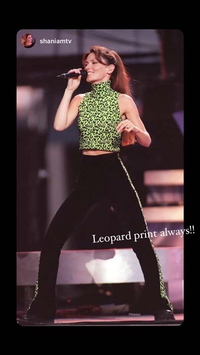 shania twain leopard print crop top
