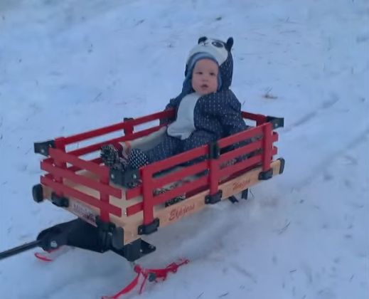 Archie in a sleigh in Canada