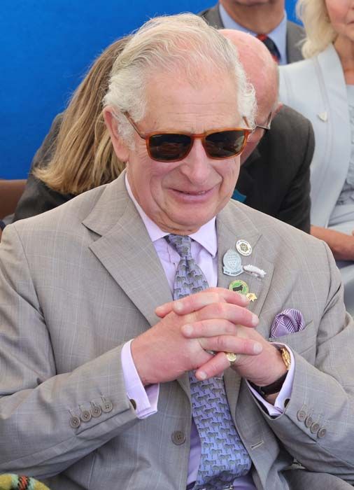 prince charles swollen