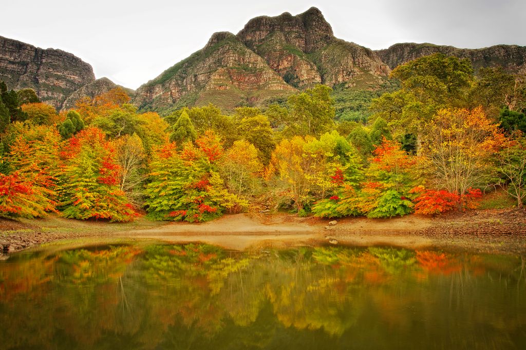 Autumn colours appear at the base of Devils Peak, Table Mountain, Cape Town, South Africa