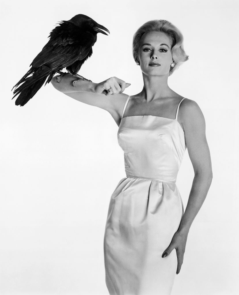 Tippi became a household name in 1963