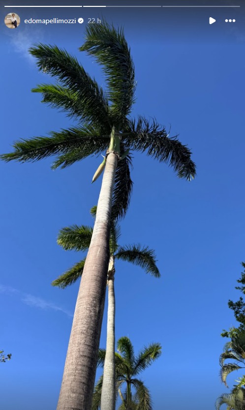 Princess Beatrice's husband, Edoardo Mapelli Mozzi, has jetted off to Miami