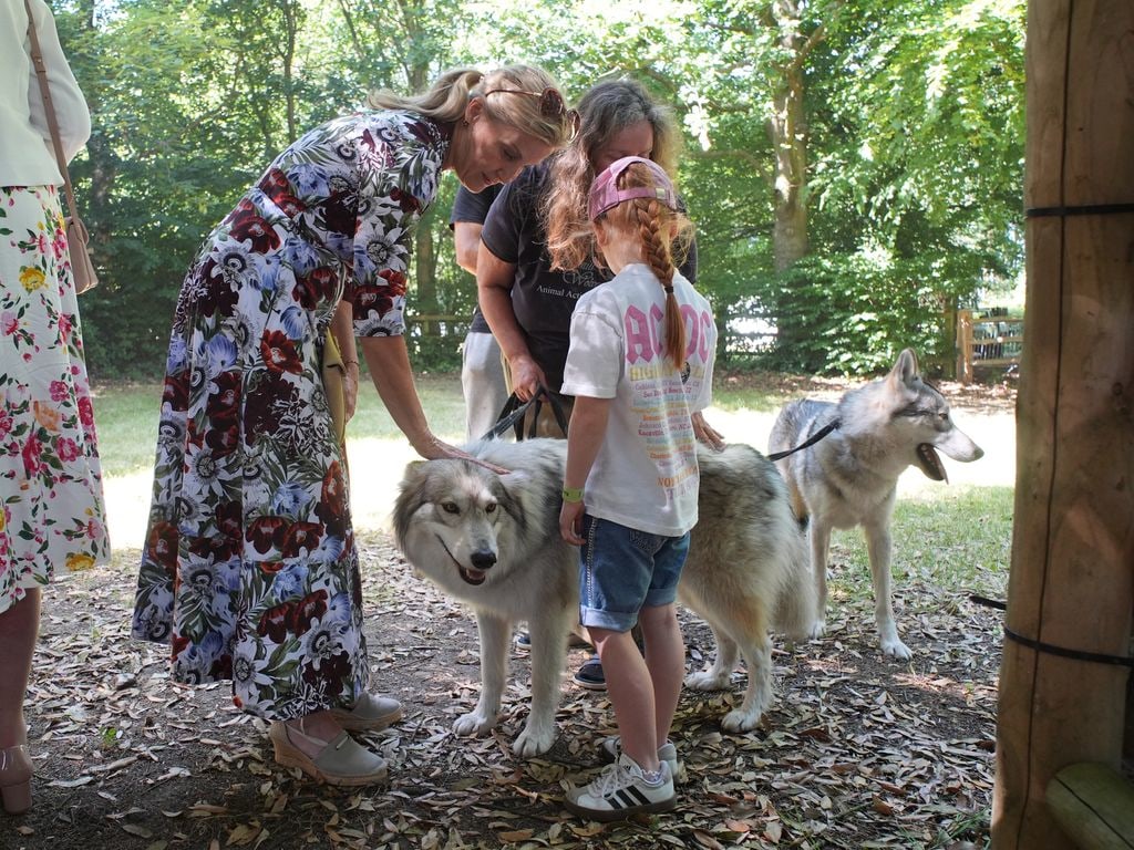 The Duchess of Edinburgh with wolves during her visit to the Kent County Show at the Kent Showground, Maidstone.