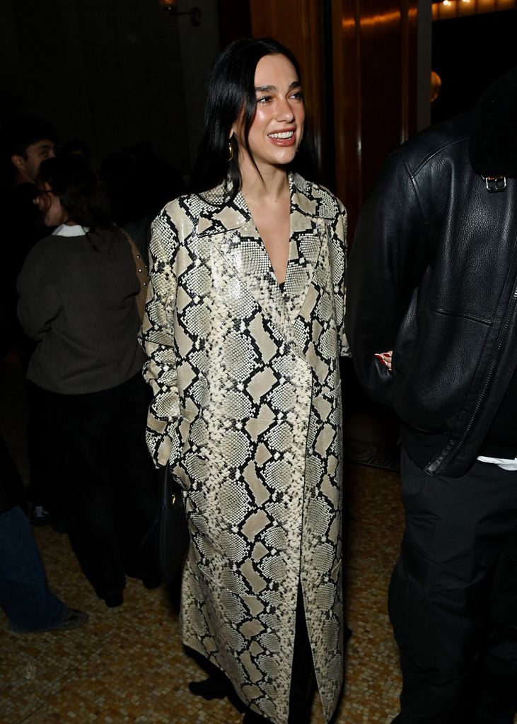 Dua Lipa walks down the street in New York wearing a super oversized grey snakeskin print coat