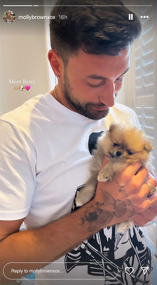 Giovanni Pernice holding his new puppy Roxy