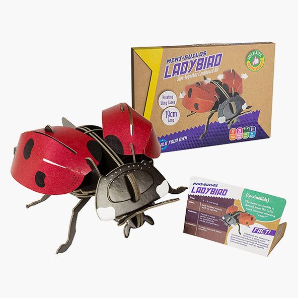 build ladybug