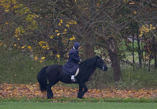 the queen horse riding in windsor castle 2017