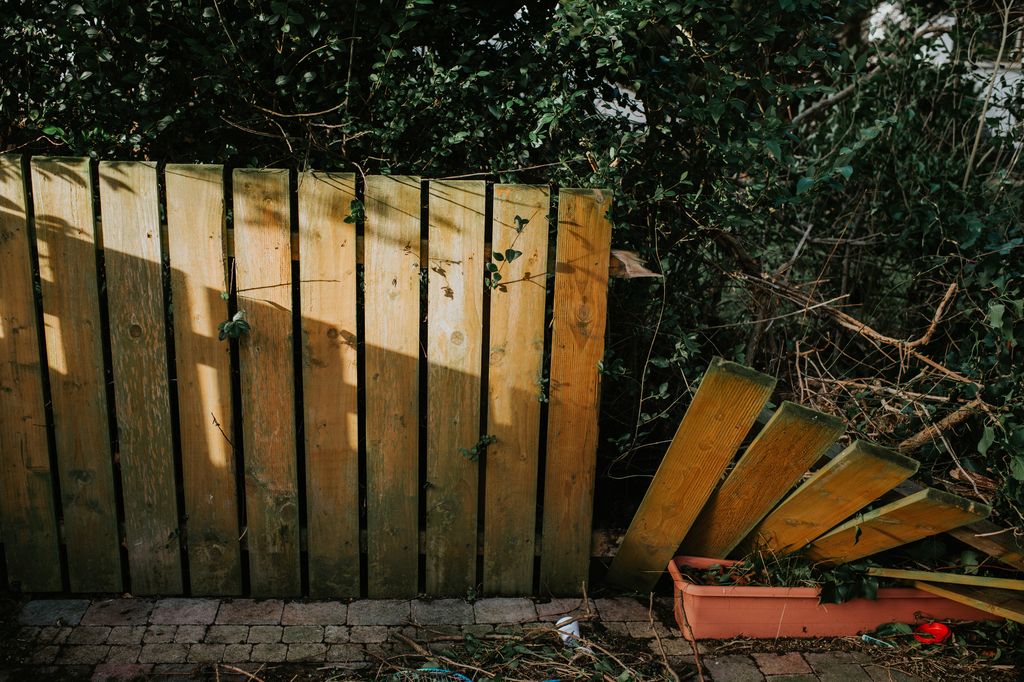 A fence has broken under the weight of a fallen tree during a storm.