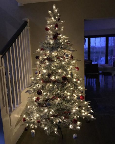 6 Emma Willis Christmas tree
