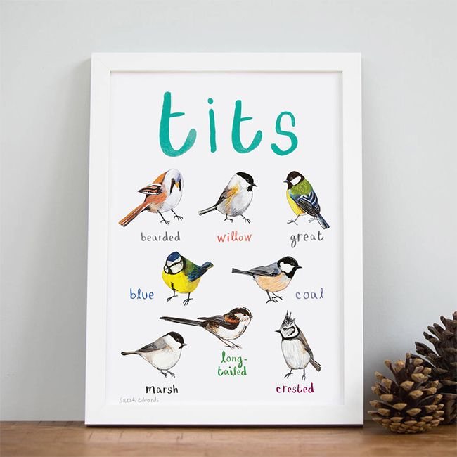 Tits poster