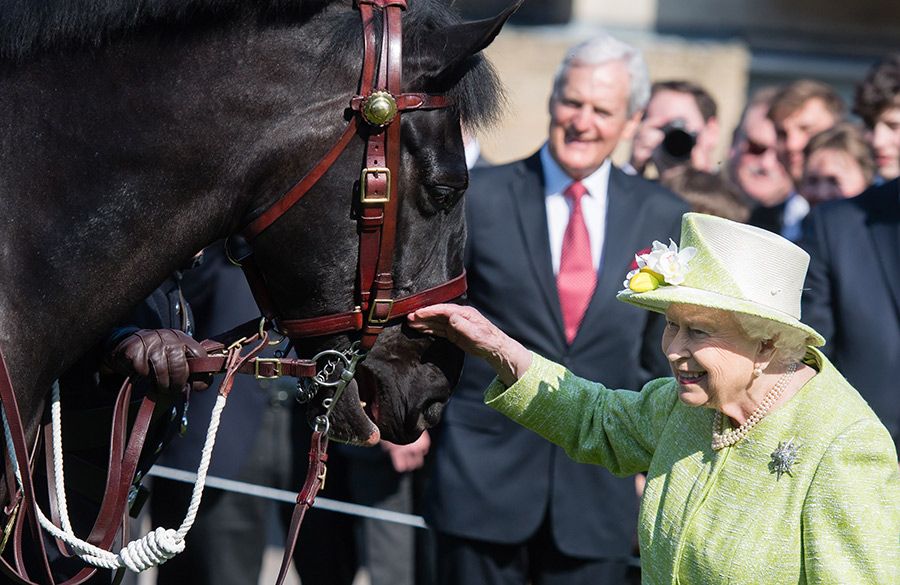 the queen loves horses