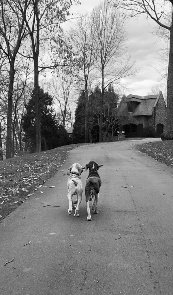 Photo shared by Audrey McGraw on Instagram November 2024 paying tribute to her family dog Stromboli, who passed away