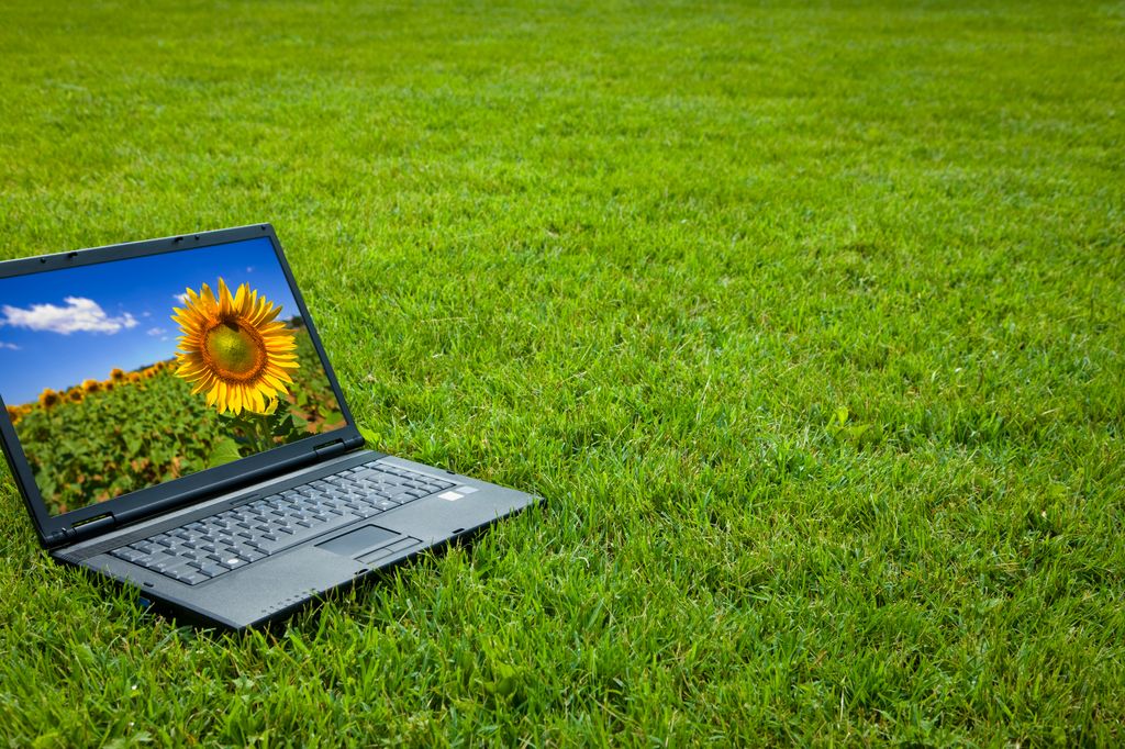 laptop outside on the grass with a sunflower screensaver