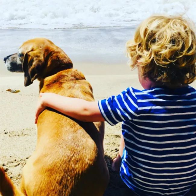 a little boy puts his arm around a dog on the beach