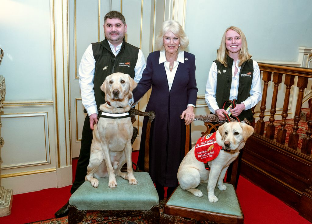 Queen Camilla poses for group photo with Medical Detection Dogs