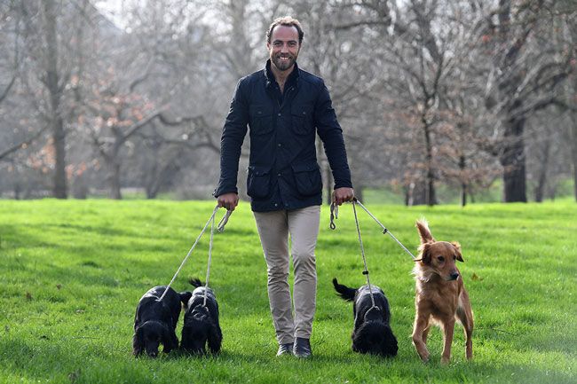 James Middleton and dogs