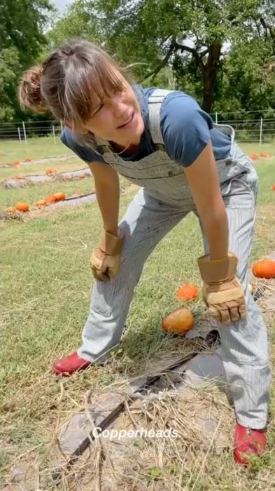 jennifer garner farm pumpkin patch