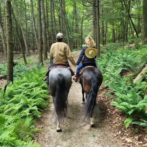 kevin bacon kyra sedgwick horseback