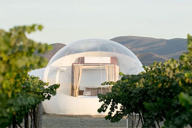 bubble suite