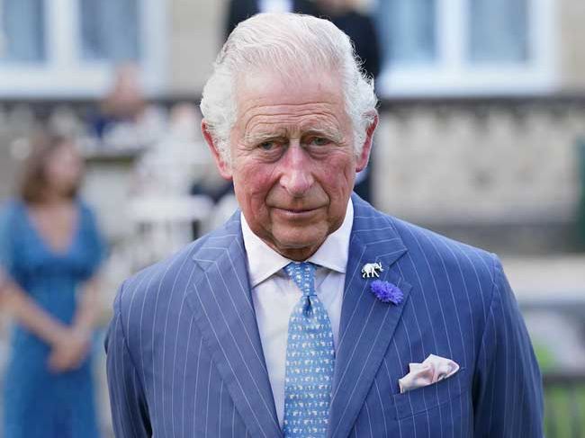 king charles looking serious in a blue pinstripe suit