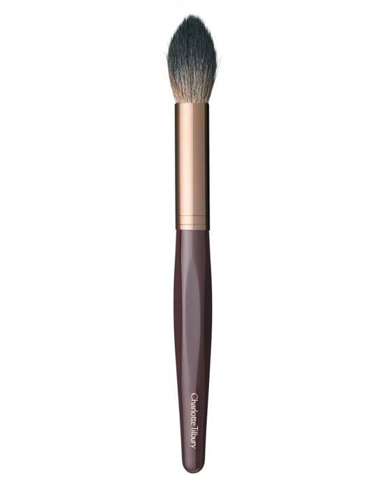 a brushes 11a