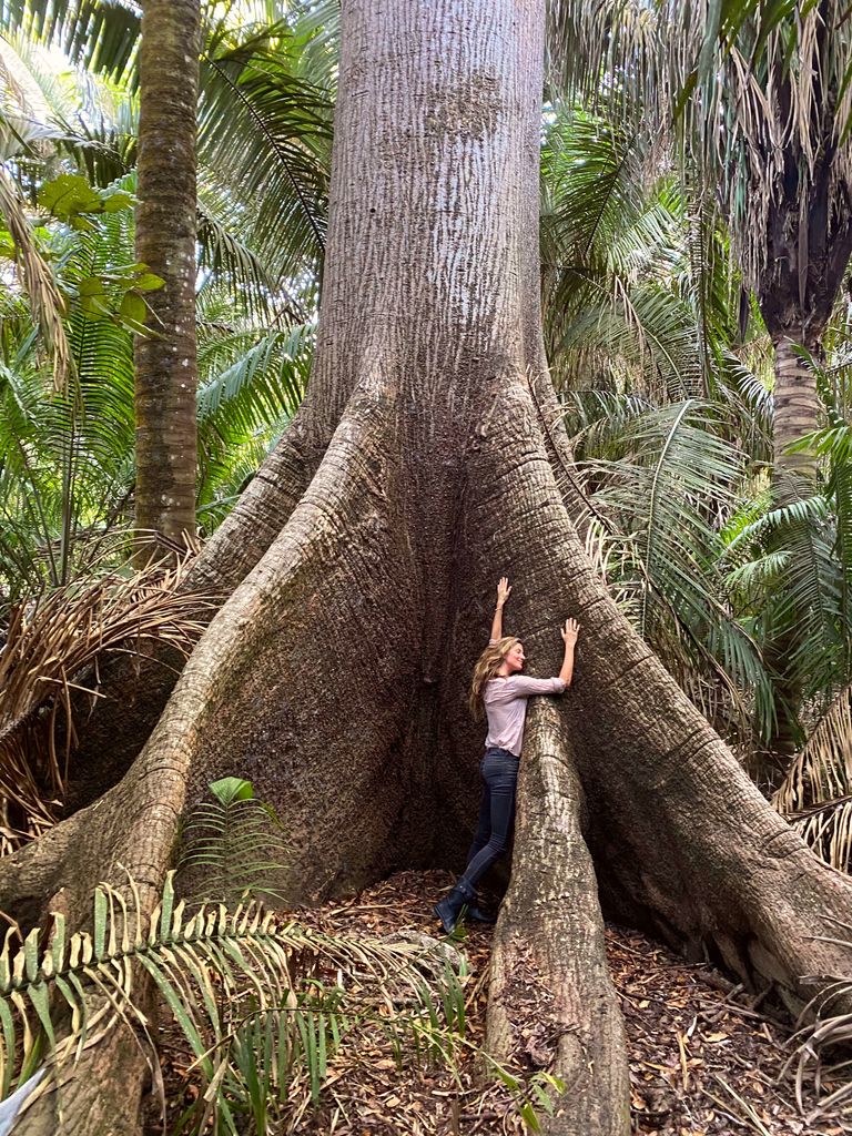 Gisele Bündchen hugging a tree