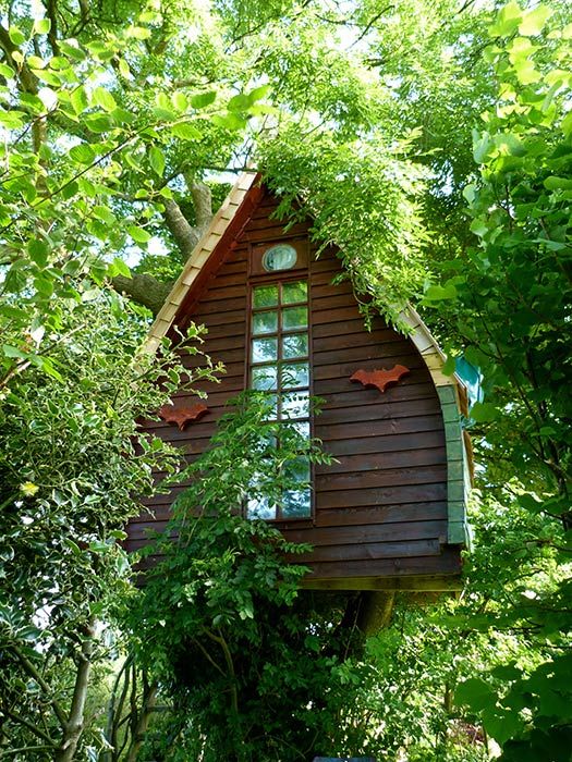 3 Tree Sparrow House