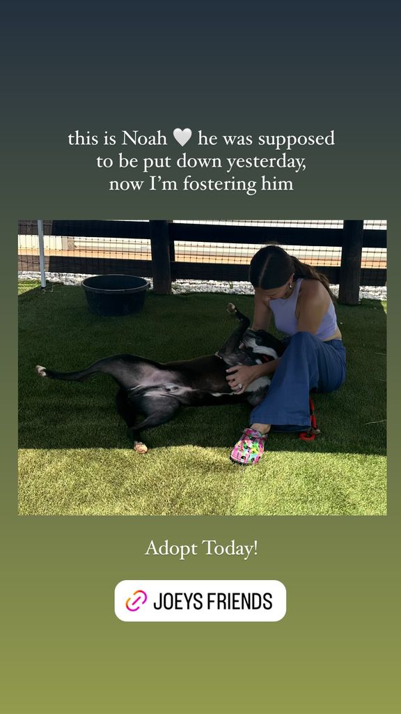 Screengrab of Millie Bobby Brown's Instagram with picture of Millie giving a labrador mix a belly rub