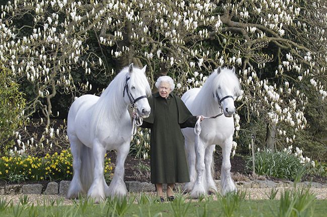 the queen with birthday horses