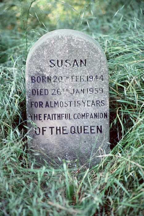 susan dog headstone