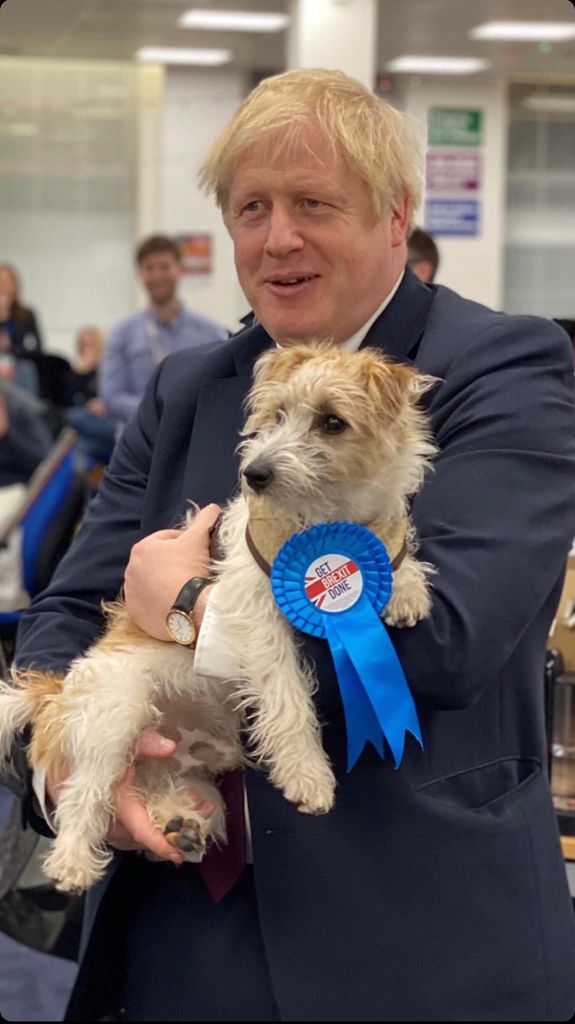 A photo of Boris Johnson and his dog Dilyn
