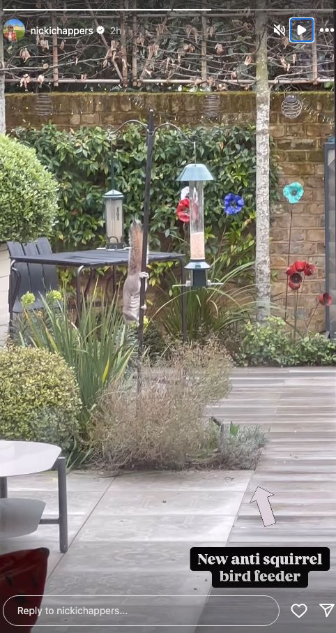 Nicki Chapman's garden