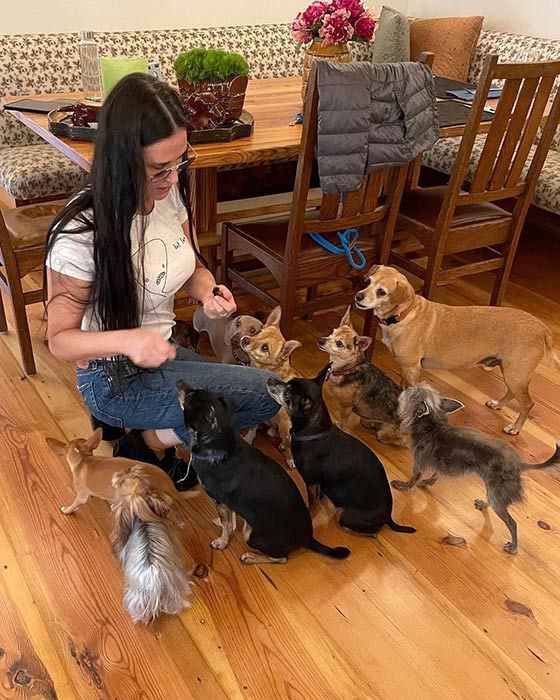 demi moore feeding her dogs