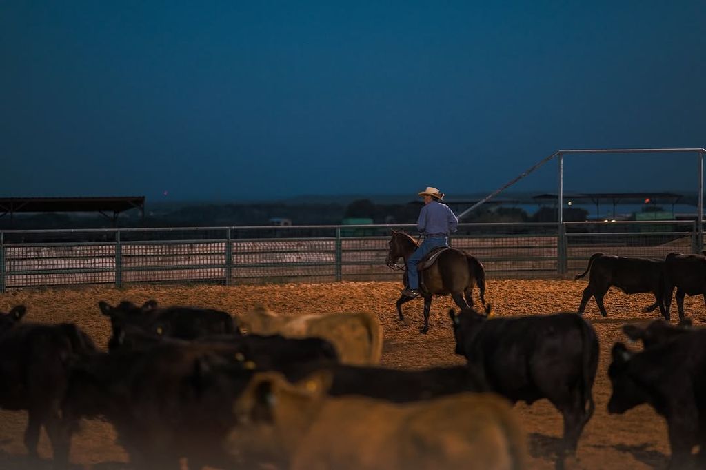 Bosque Ranch in Texas at dusk