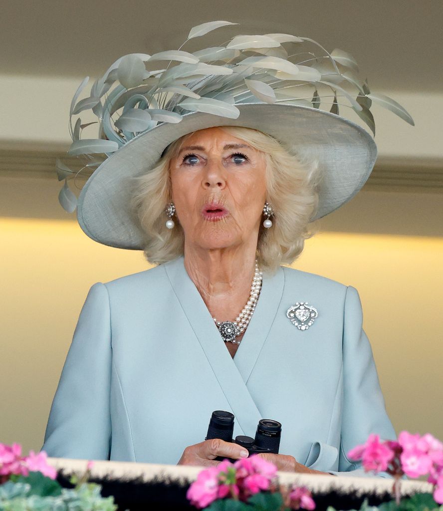 Queen Camilla lips pursed in grey feathered hat and dress