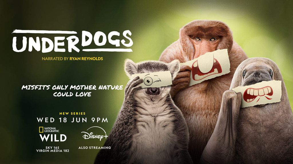 Will you be watching Underdogs?