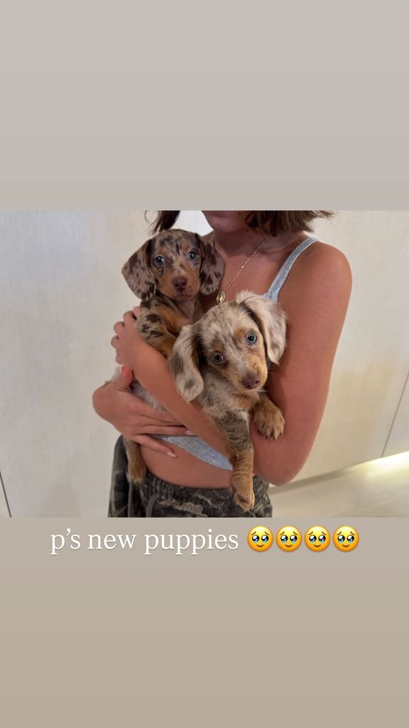 Penelope's new puppies