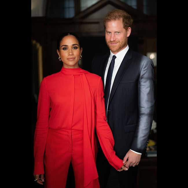 new portrait harry and meghan