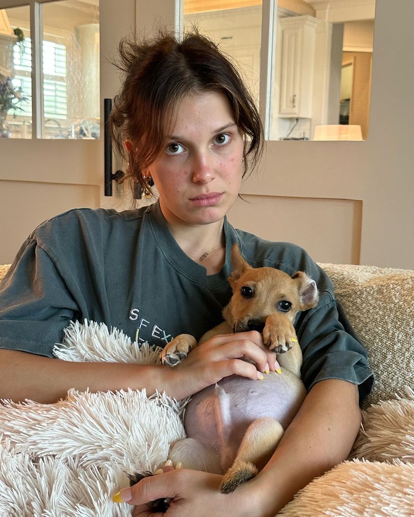 Millie Bobby Brown’s .6m property empire with 33 dogs that sleep in her bed