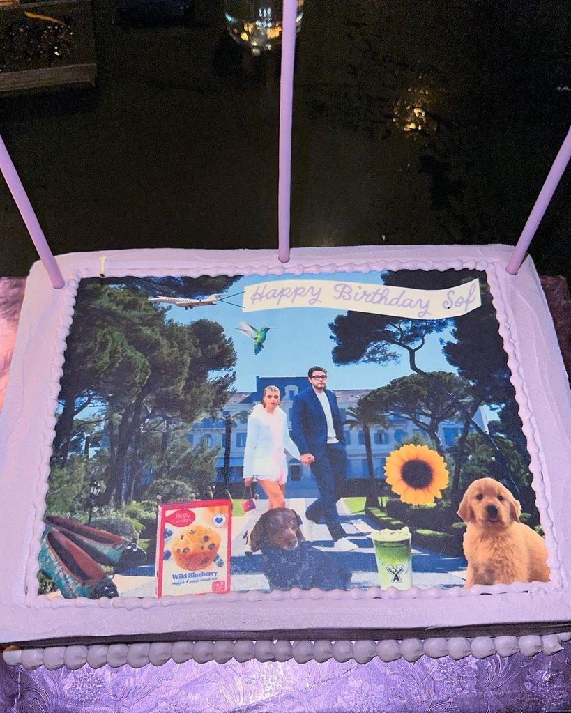 Sofia shared a photo of her quirky cake on Instagram