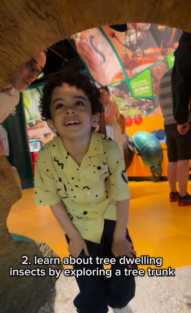 Tamron Hall took her son Moses to New Orleans for a special trip 