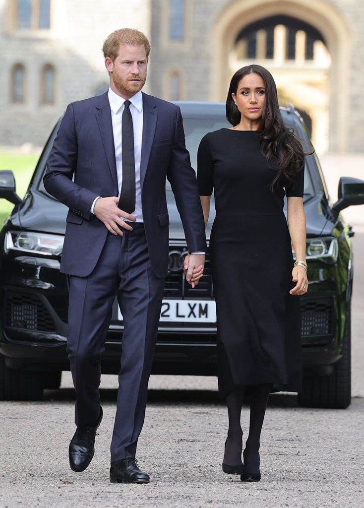Prince Harry and Meghan Markle looking concerned